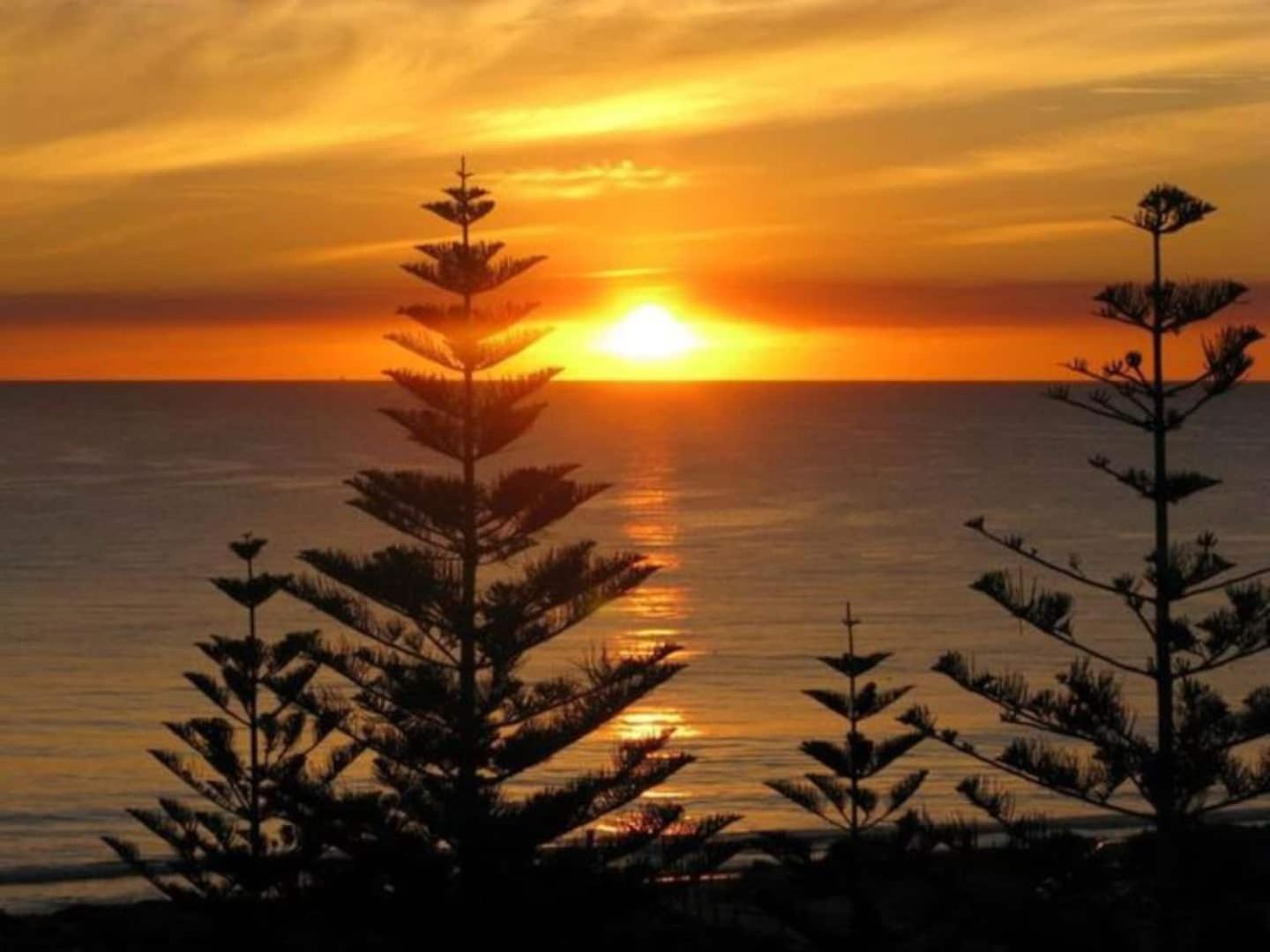 Acacia Holiday Or Business Stay - Quiet Location Perth Exterior foto